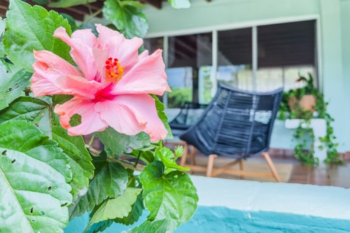 Suite con Terraza Privada y Vista a la Montaña