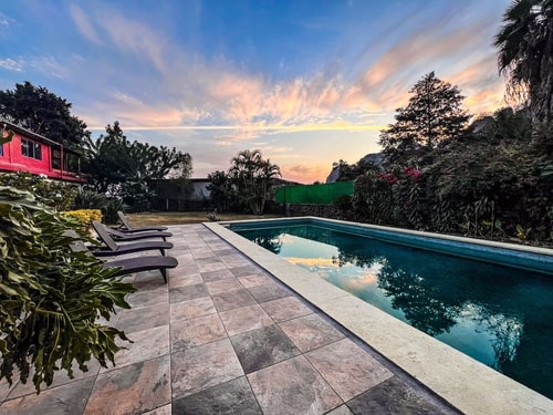 Conecta con La Naturaleza en Colibrí Turquesa