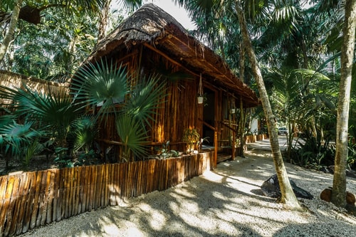 Tatewari · Ecocabaña A/C en selva, a 100 m del mar