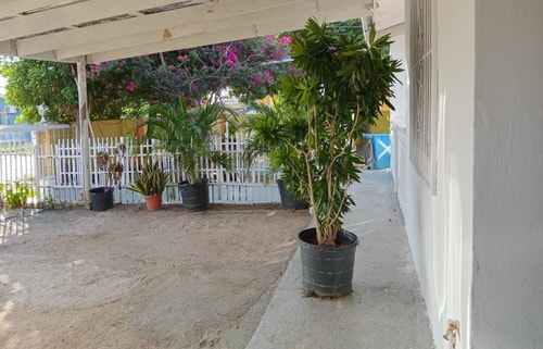 HolidayHome conveniently located 13 Aruba Local Rental