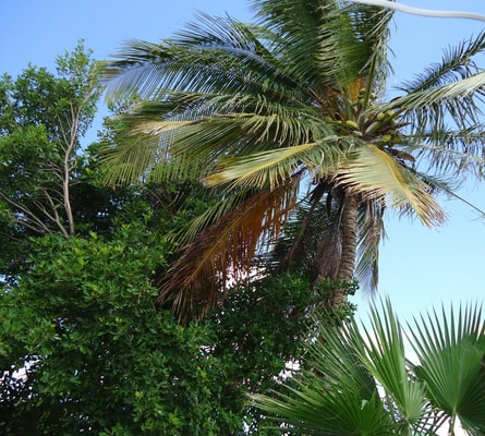 HolidayHome conveniently located 19 Aruba Local Rental