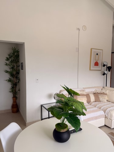 PALM BEACH VACAYSUITES - COCONUT SUITE - TOP FLOOR 14 Vacay Suites Aruba