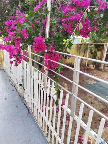 HolidayHome conveniently located 12 Aruba Local Rental