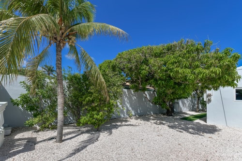 Luxury 4BR Villa • Pool • Walk to Palm Beach 9 Aruba Local Rental