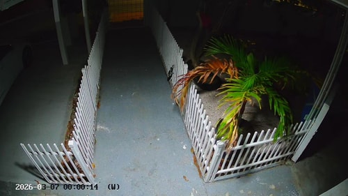 HolidayHome conveniently located 62 Aruba Local Rental