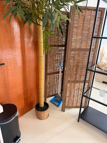 PALM BEACH VACAYSUITES - PALM SUITE ? +100m2 54 Vacay Suites Aruba