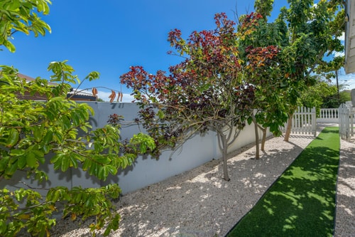 Luxury 4BR Villa • Pool • Walk to Palm Beach 16 Aruba Local Rental