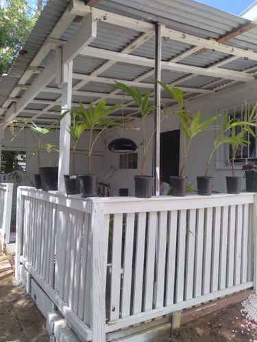 Cozy apartment conveniently located 6 Aruba Local Rental