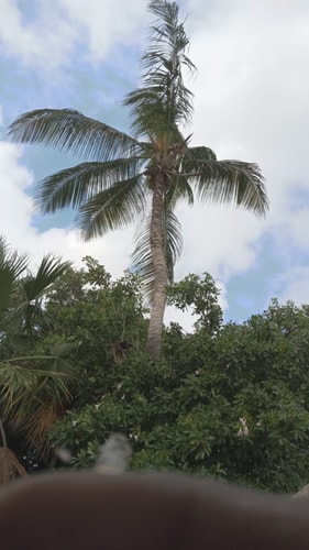 Cozy apartment conveniently located 8 Aruba Local Rental