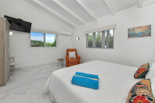 Luxury 4BR Villa • Pool • Walk to Palm Beach 72 Aruba Local Rental