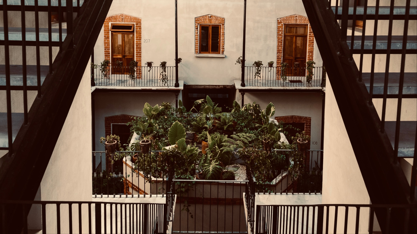 Juárez & Centro Histórico