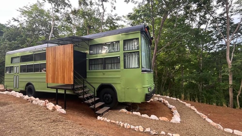 Bus Verde