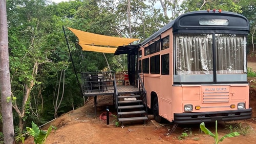 Bus Rosado