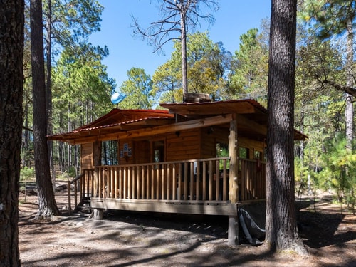 Cozy cabin in the forest in Mexiquillo Park