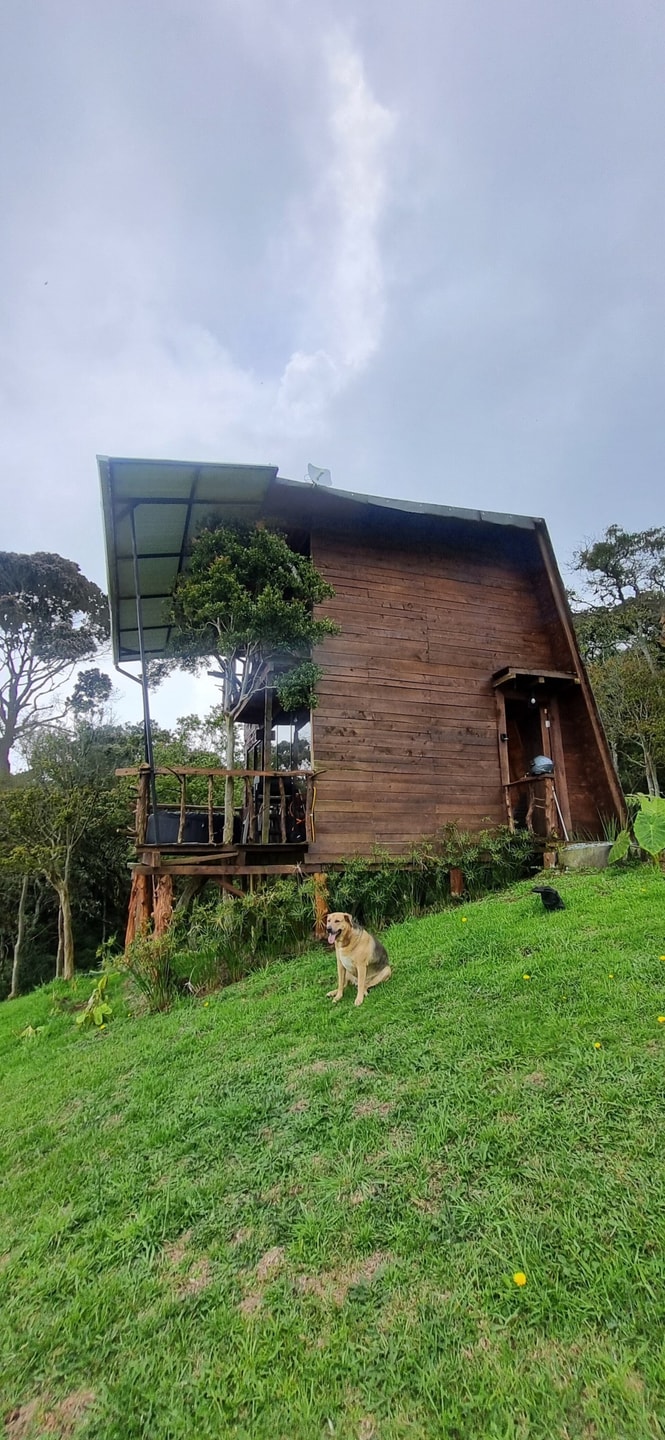 Rustic Cabin, Private Jacuzzi, City View gallery image 33