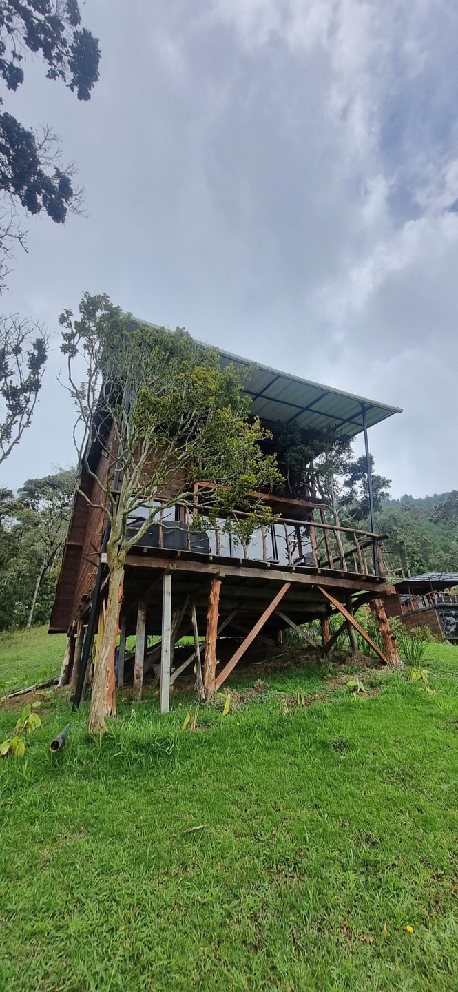 Rustic Cabin, Private Jacuzzi, City View gallery image 35