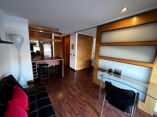 Cómodo departamento en Providencia Santiago