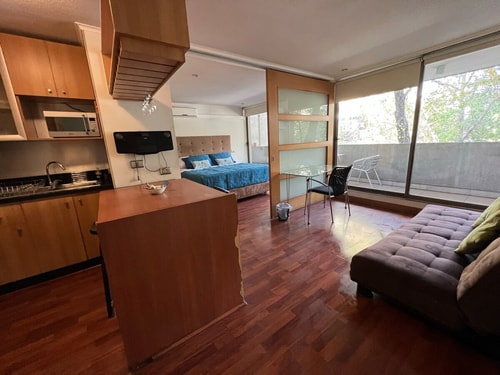 Amplio departamento Providencia