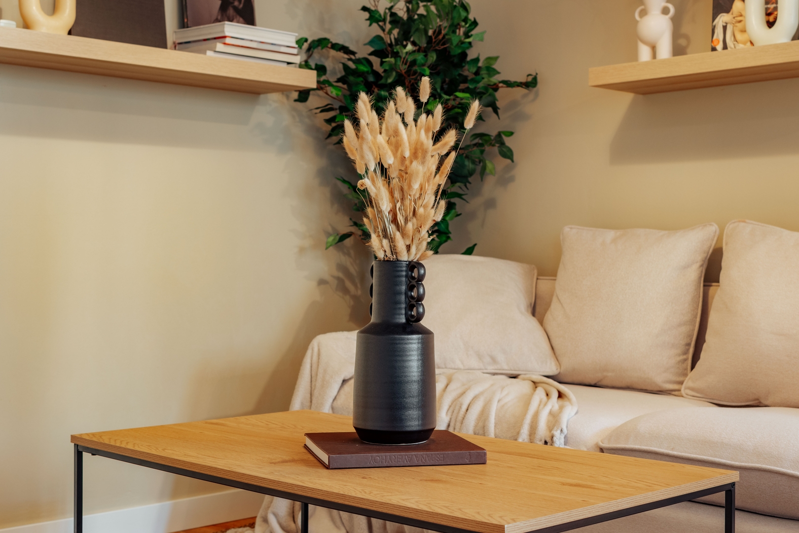 Room Basset at Casa Mel