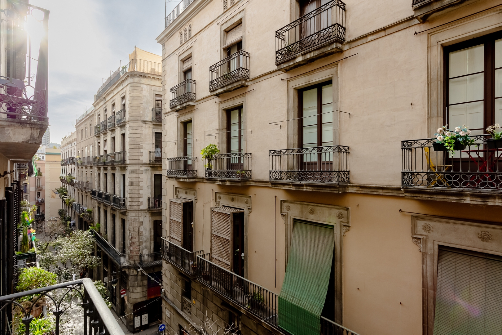 Suite Pals at Casa Nostra