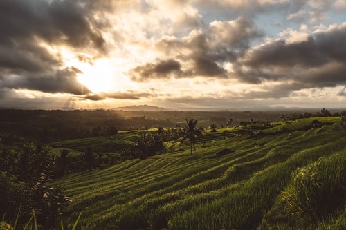 Scenic Villa near Pererenan Beach 17 Bali Real Estate