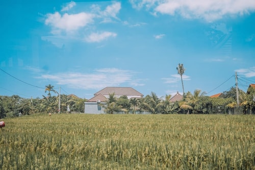 Scenic Villa near Pererenan Beach 21 Bali Real Estate