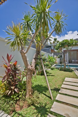 Beautiful Villa with Private Pool Near Savaya 21 Bali Real Estate