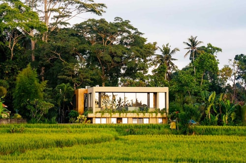 3BR: Cozy Villa With Rice Field View @Ubud 6 Bali Real Estate