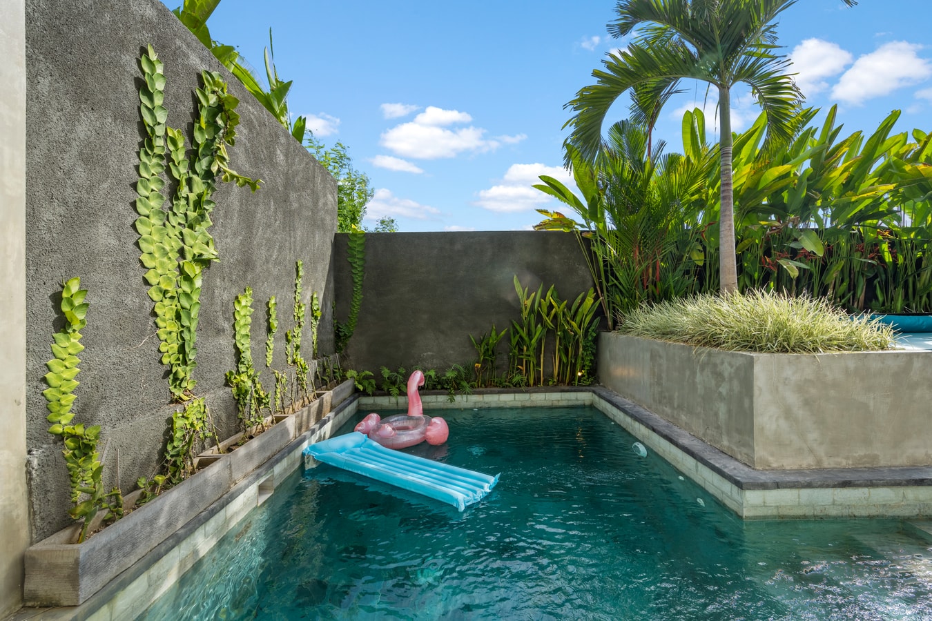 Private 2BR Villa with Pool & Paddy View in Canggu