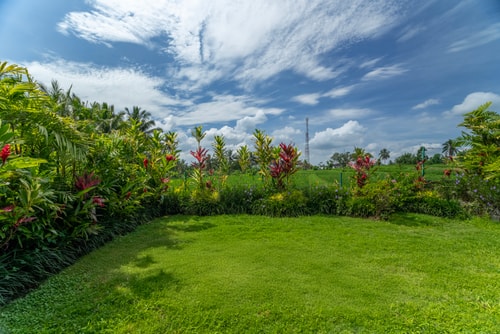 Ubud Beach-Style Pool Retreat - Cozy Deluxe Room 30 Hombali.com