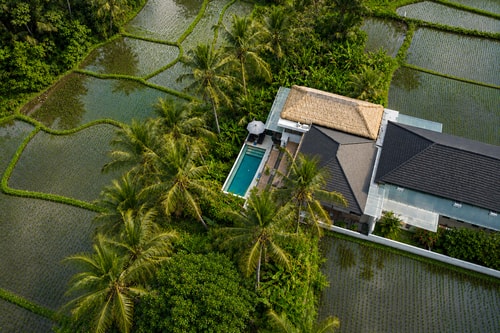 1BR Modern Ubud Junior Suite | Balcony Paddy Views