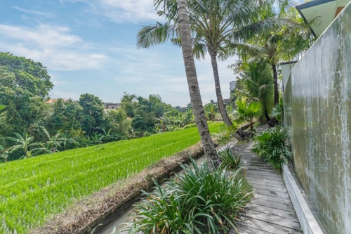Rice Field View | Cinema  | Game Room | Canggu 36 thewhiteglovebali.com