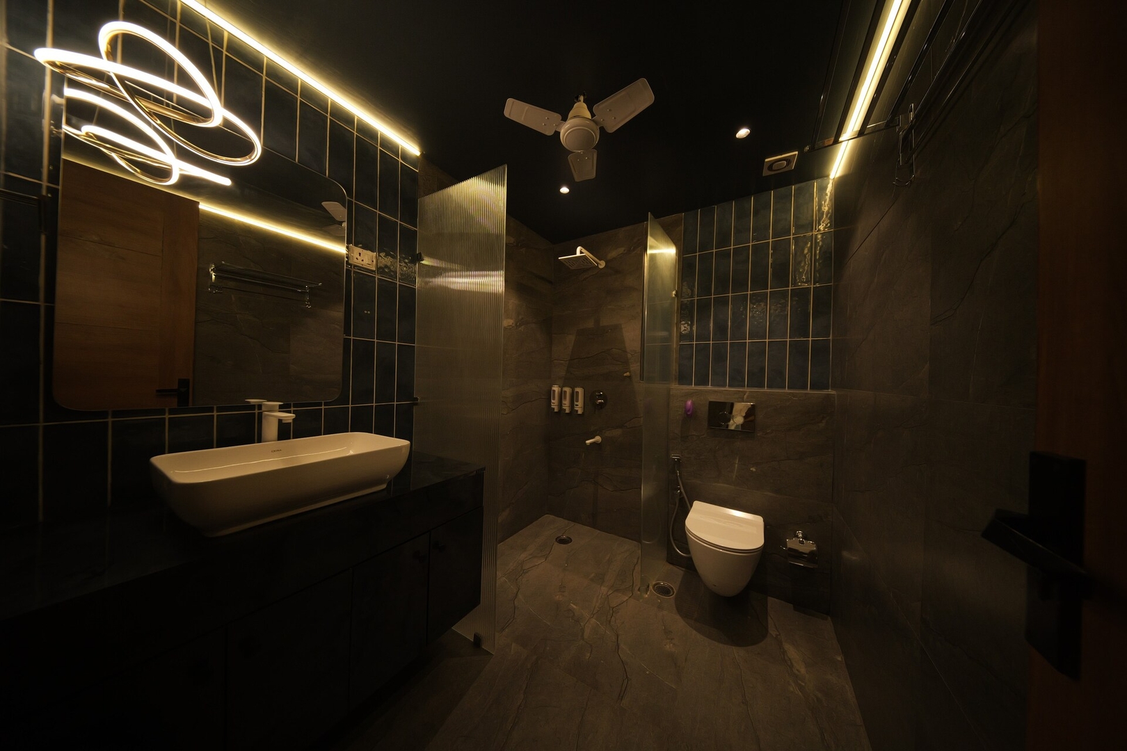 Cinéma · 2BHK + Home Theatre · South Delhi 8