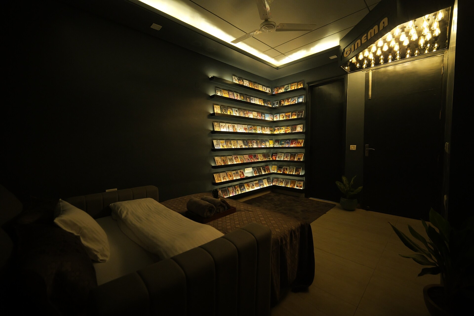Cinéma · 2BHK + Home Theatre · South Delhi 7
