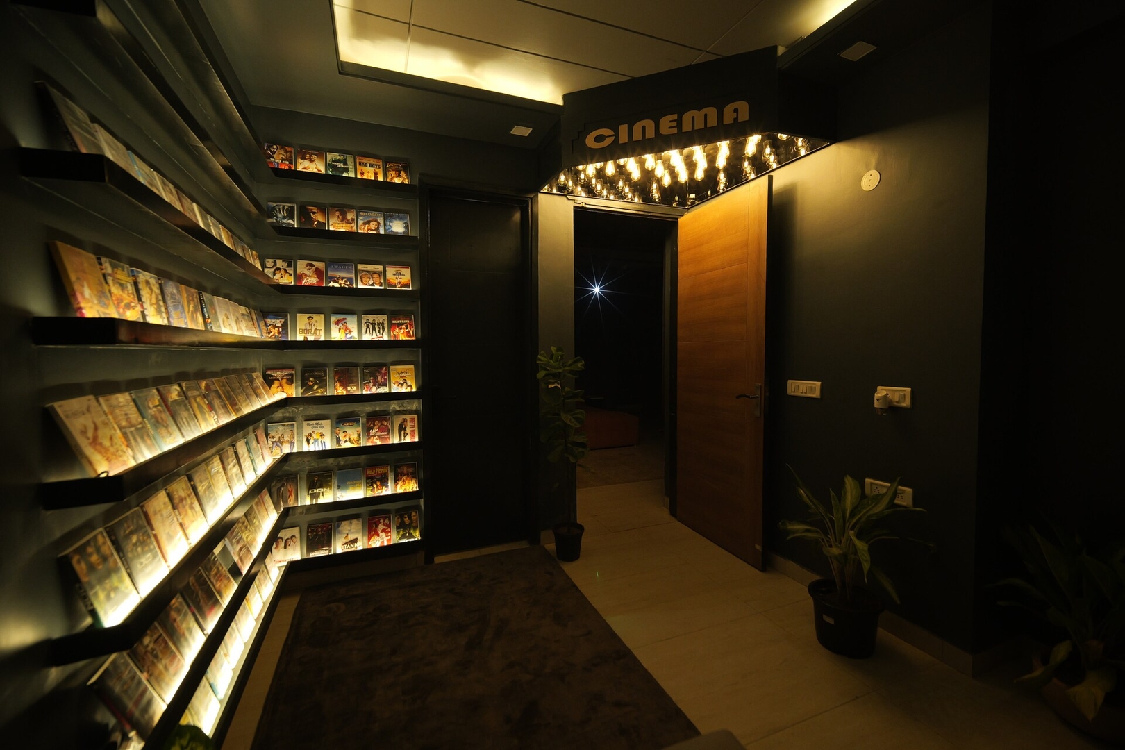 Cinéma · 2BHK + Home Theatre · South Delhi 4