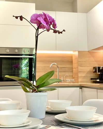 City Centre Bright & Cozy Apartment for 4 Guests 22 hosty.bg