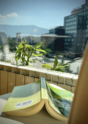 Sunny & Comfort Apartment next to Tech Park 27 hosty.bg