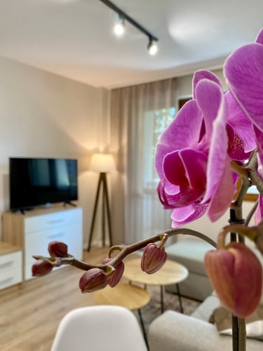 City Centre Bright & Cozy Apartment for 4 Guests 16 hosty.bg