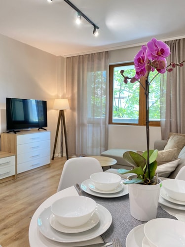 City Centre Bright & Cozy Apartment for 4 Guests 25 hosty.bg