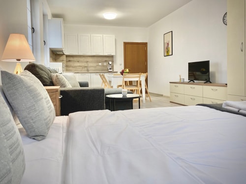 Modern Studio for 4 persons with Fast Wi-fi & Tv 10 hosty.bg
