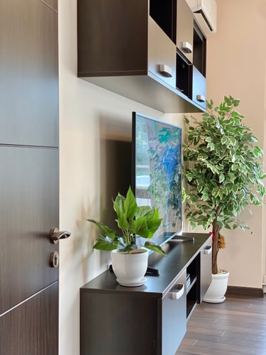 Sunny & Cozy Apartment for 4 55 hosty.bg