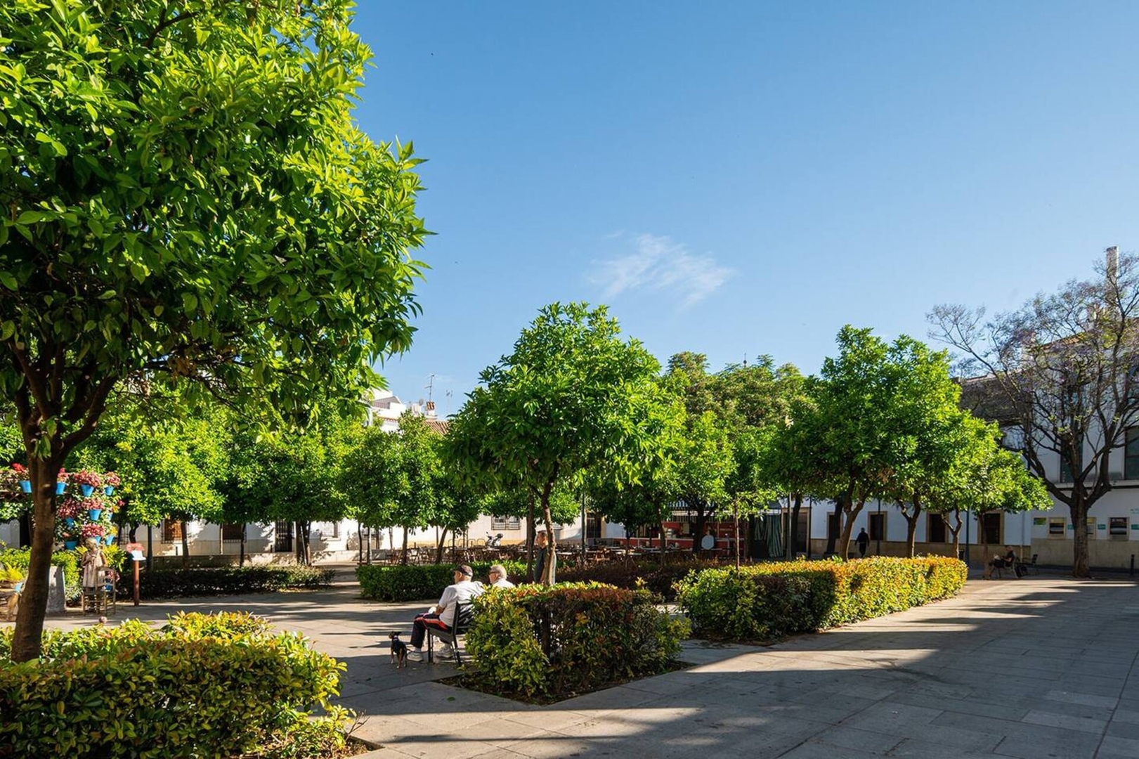 Nuevo! Premium Suites - Arcos de Medina 201 82 Templa Stays