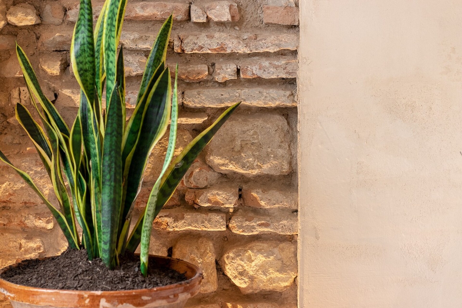 New!  Luxury apartment tejas 19 Templa Stays
