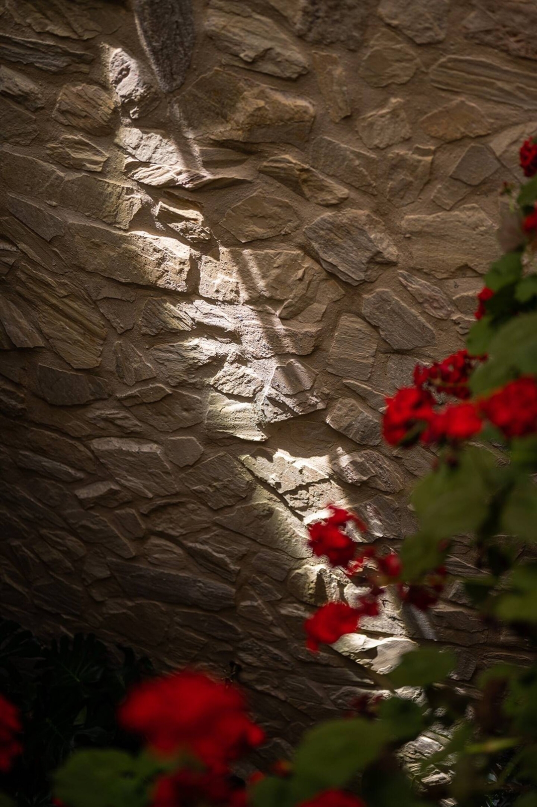 Apartamentos Premium - Arcos de Medina 202 77 Templa Stays