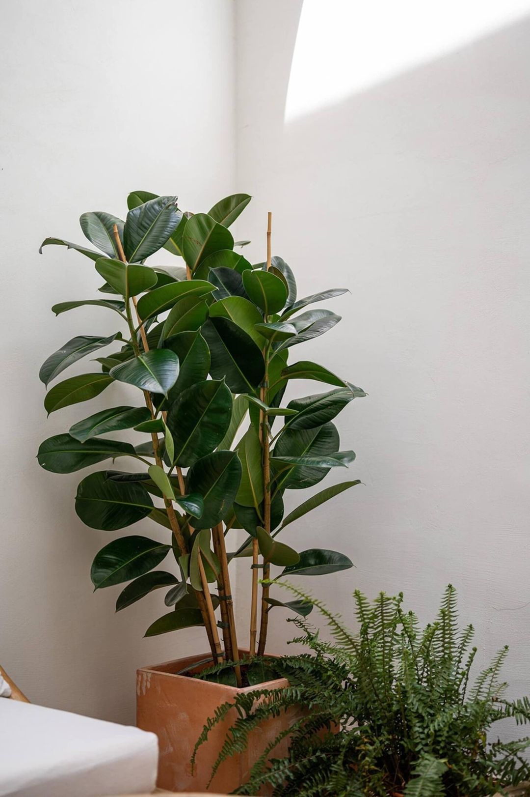 Check-in 24h. Apt moderno en Casco Historico 53 Templa Stays