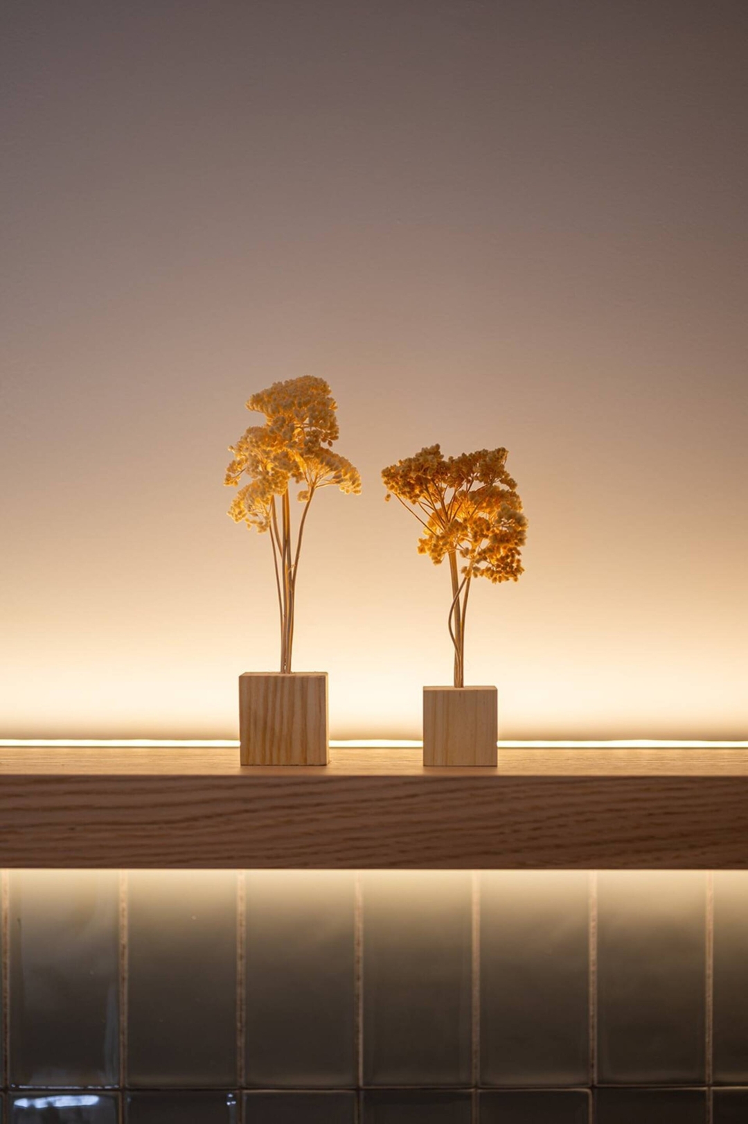 Apartamentos Premium - Arcos de Medina 202 27 Templa Stays