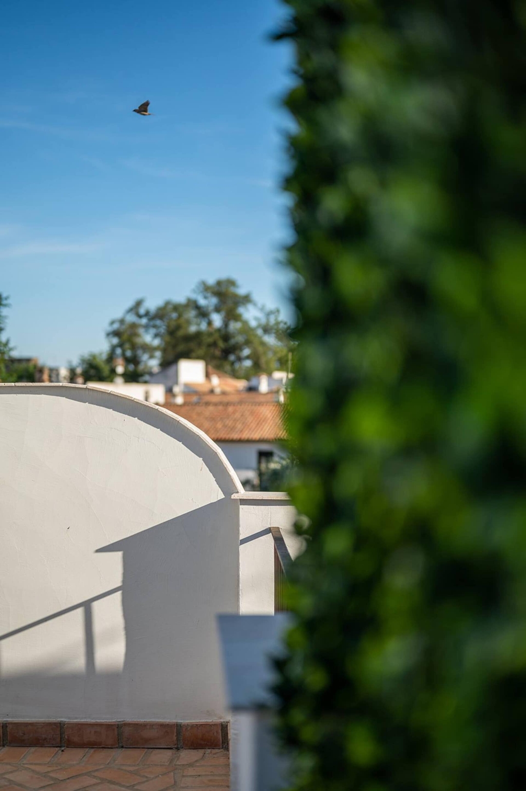 Check-in 24h. Apt moderno en Casco Historico 95 Templa Stays