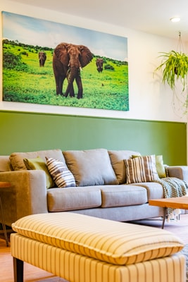VH | Polanco confort | wifi + 3 rec | 104 16 Virtual Homes