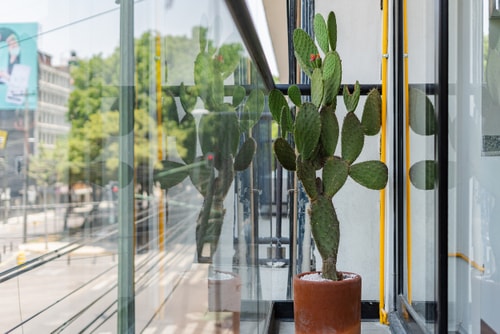 VH | Condesa | Industrial design wifi + gym | 251 23 Virtual Homes