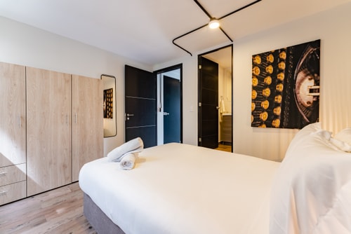 VH | Fancy apt 2 BR | wifi + gym | Condesa | 282 22 Virtual Homes